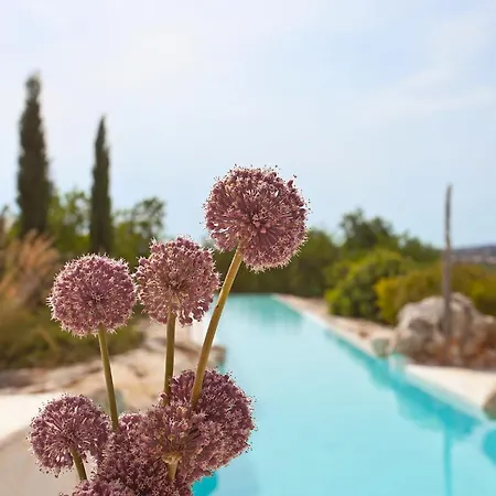Finca Calicant